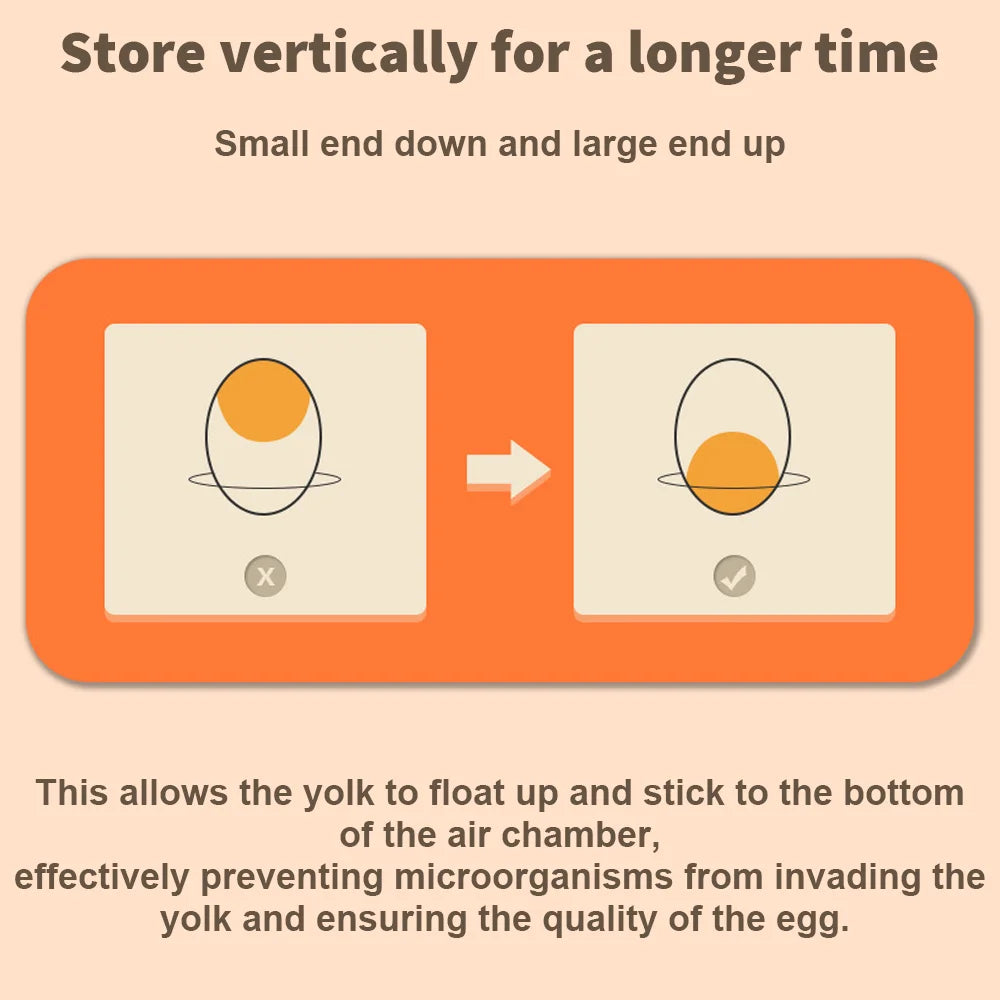 Double-Layer Pull-Out Egg Storage Box | 32 Compartments | Fridge Organiser